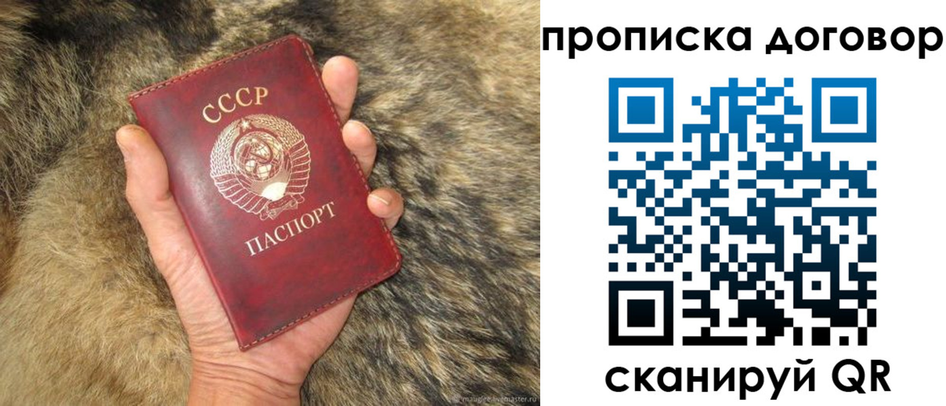 прописка регистрация в Мценске